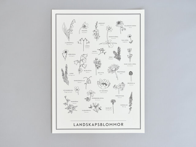 こちらはLandscape Flowers(ランドスケープ・フラワー)。スウェーデンの日常に咲く野花がずらりと描かれています。アウトラインでスッキリと描かれたデザインは、野花の素朴な雰囲気にピッタリ。