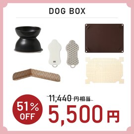 HARIO｜春の新生活 HAPPY BOX DOG ワンちゃんグッズ福袋【ネットショップ限定】