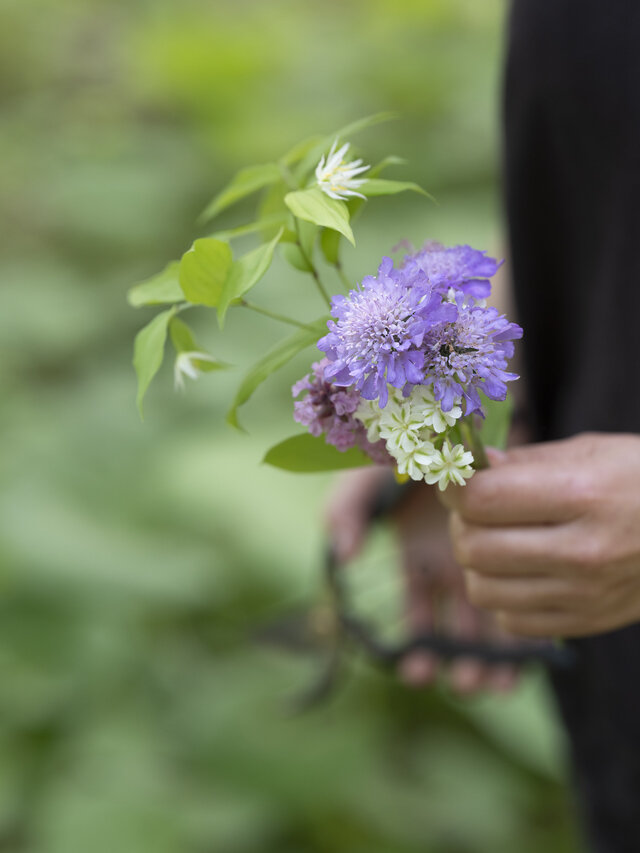 庭先に咲いた季節の草花を摘んできたら、