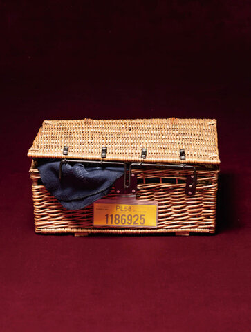 PUEBCO|ROUND TRIP BASKET