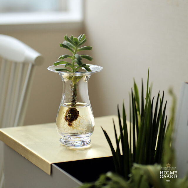 香り豊かな植物、ヒヤシンス。
切り花を買ってきて飾るというのも良いけれど
今年こそ、球根から育てて楽しみませんか?