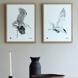 Teemu Jarvi|Poster(ポスター)