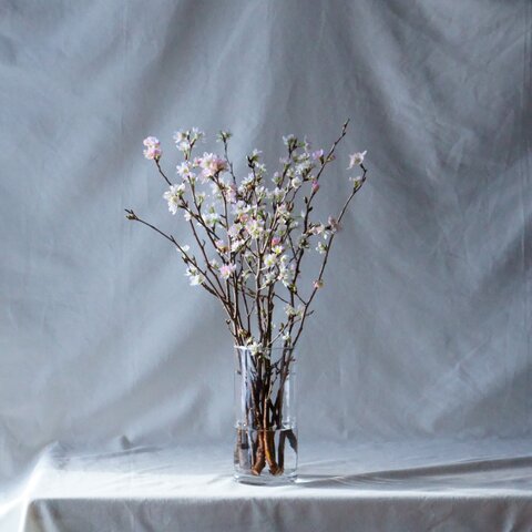 石木花|啓翁桜 S