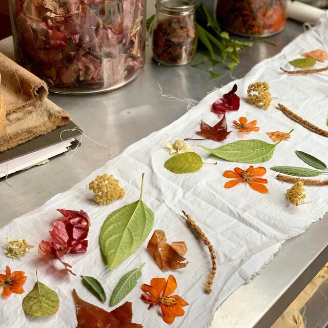 セージやマンゴーの葉っぱ、鮮やかなオレンジ色のコスモスのお花など、輝く太陽の下で力強く育った植物たち。
お届けする一枚の中にはどんな植物が隠れているのでしょうか?ぜひ楽しみになさっていてくださいね。