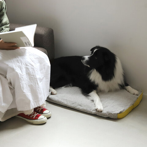 PUEBCO｜CUSHION FOR HUMAN AND PET/クッション(ペットにも)
