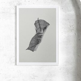Paper Collective｜Sabi Leaf