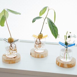 HARIO|水辺のハンモック チャコールグレー ブルー アンバー