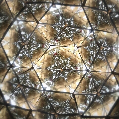 Flower Kaleidoscope リトアニアの万華鏡