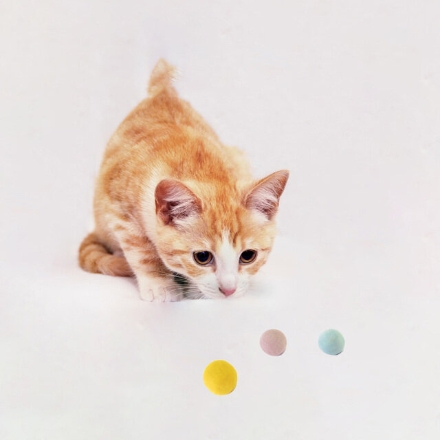 ※写真のボールはねこボール3cmになります。