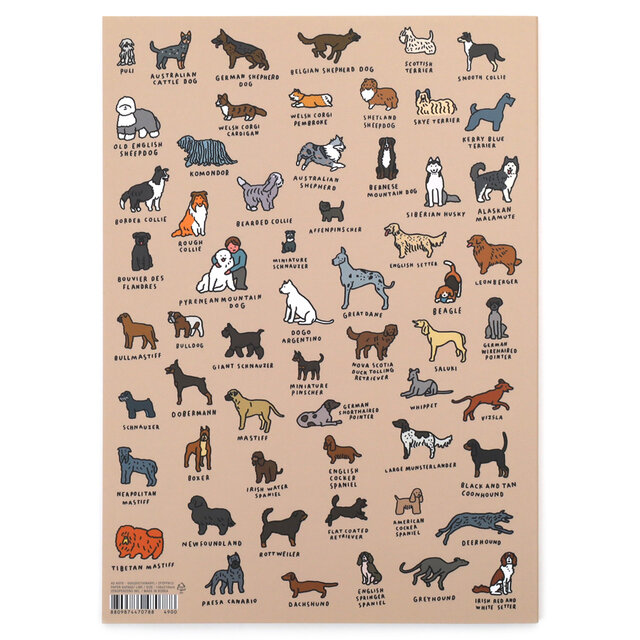 DOG (DICTIONARY)・裏表紙
