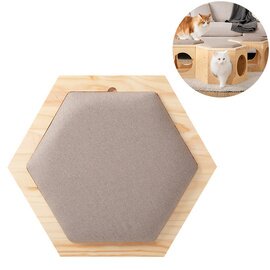 MYZOO｜Busy Cat Chair Plate