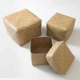 見せる収納 インテリアバスケット カチュー水草 ふた付き四角BOX3点セット kurashisha