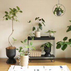 ferm LIVING｜Plant Box (プラントボックス) Two Tier　日本正規代理店品【受注発注】【実費送料】【送料無料キャンペーン】