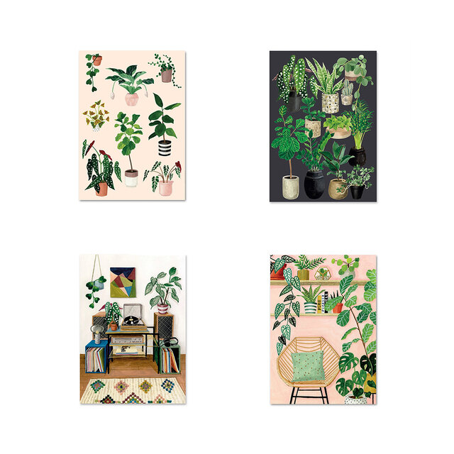 インドアプランツ/美しい植物たち/レコードとジャングル/インドアジャングル