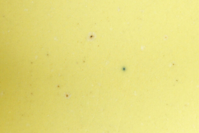 細かい鉄点や赤い点、青い点が見られます。釉薬が結晶化した白い斑点が見られるものもあります。
