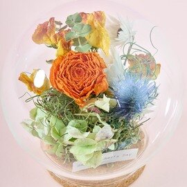 土と風の植物園|母の日を彩る、ドライフラワーのテラリウム<ときめき>