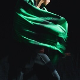 elegancese|Check wave