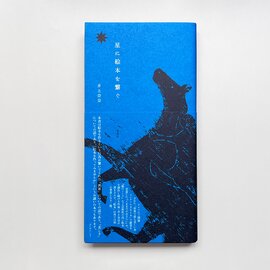 雷鳥社|《おとなの自由研究フェア》星に絵本を繋ぐ
