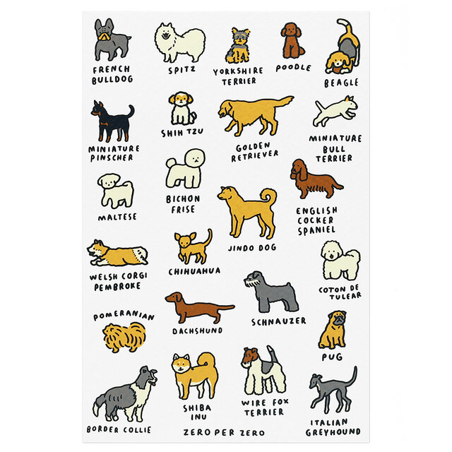 DOG DICTIONARY 1