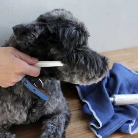 ORALPEACE｜Oralcare Gel for PET/ペット用歯磨き粉 犬 猫