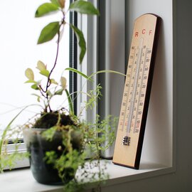 TFA Dostmann｜Analoges School Tchulthermometer 12.1007/アナログ温度計