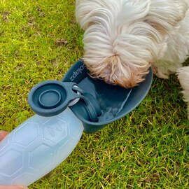 COLAPZ｜Portable Dog Water Bottle & Poop Bag Holder (ペット用ウォーター&フードボトル)