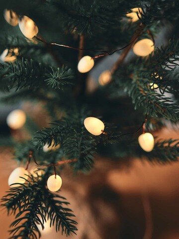 SHISHI｜クリスマスツリー