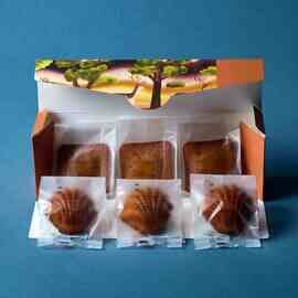 積奏|エクラ -Éclat- マドレーヌとフィナンシェの詰め合わせ