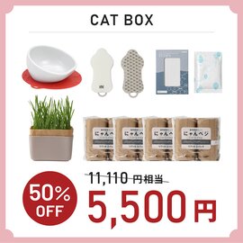 HARIO｜春の新生活 HAPPY BOX CAT ネコちゃんグッズ福袋【ネットショップ限定】