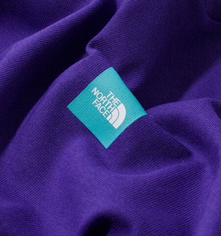 THE NORTH FACE｜ショートスリーブ スモール ボックス ロゴ Tシャツ “S/S Small Box Logo Tee” ntw32445-fn