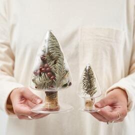 ＜12/18まで＞【クリスマス限定】ガラス標本のクリスマスツリー