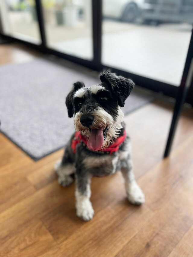 サマーカットにしてもらったの。秋だけど。