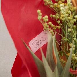 【母の日限定】＜MAGOKORO＞カーネーションの赤い花束［ラッピング付］