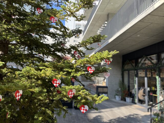 おおきなもみの木がそびえ立つ広島アンデルセンのお庭「ヒュッゲパーク」