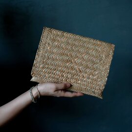 蓋が深めの水草フラップクラッチ 【ネコポス】
