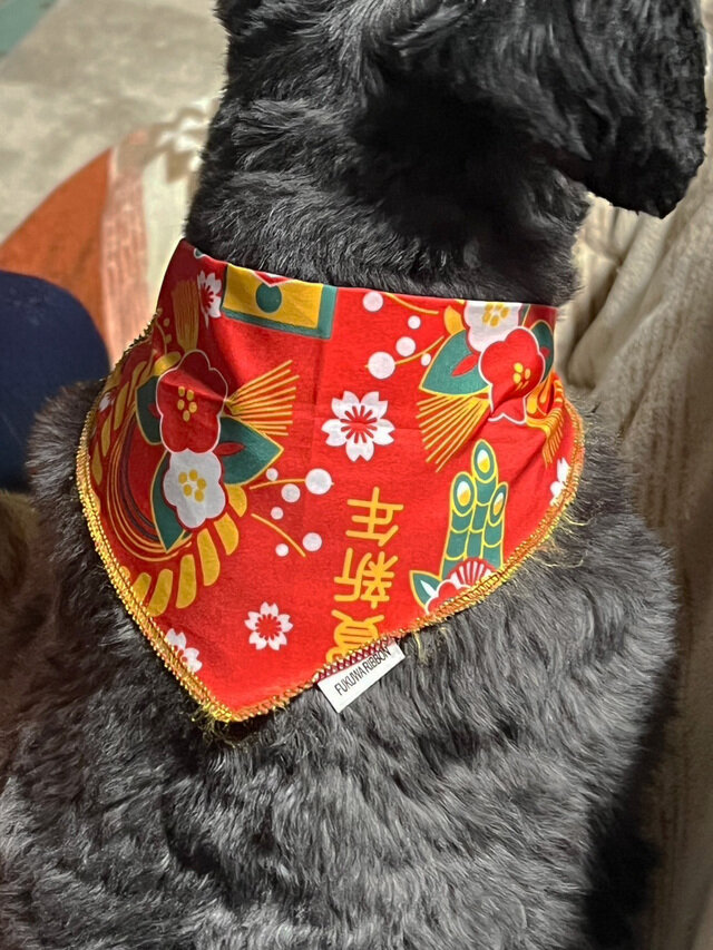 みんな笑ってくれるんだけどさ。