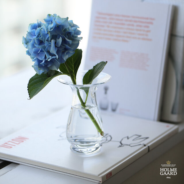 香り豊かな植物、ヒヤシンス。
切り花を買ってきて飾るというのも良いけれど
今年こそ、球根から育てて楽しみませんか?