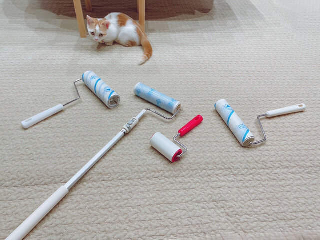 「黒い服着れないわ~」って。なんかごめんね。