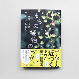 雷鳥社|《おとなの自由研究フェア》そんなふうに生きていたのね まちの植物のせかい