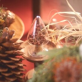 ＜12/18まで＞【クリスマス限定】ガラス標本のクリスマスツリー