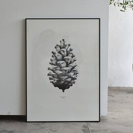 Paper Collective｜ポスター Pine Cone