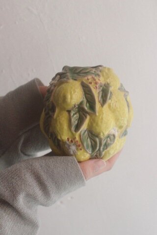 【花瓶】Lemon
