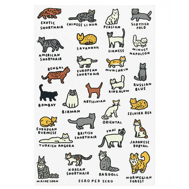 CAT DICTIONARY 1