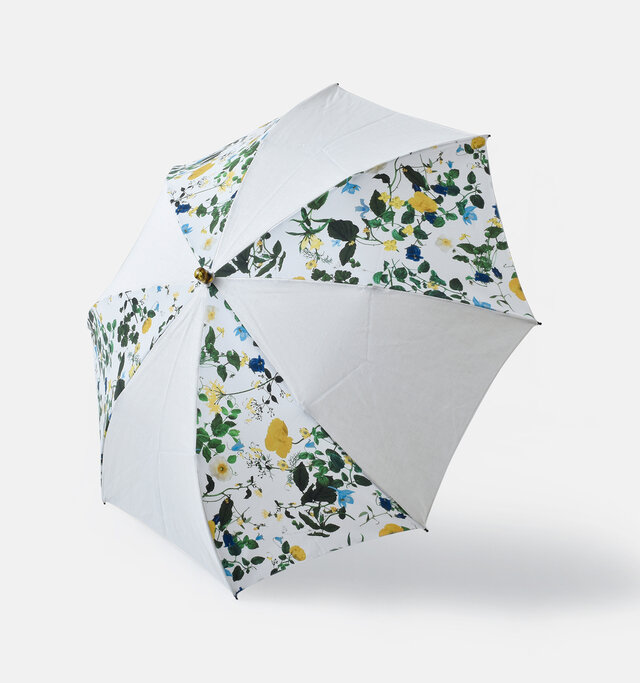 color : off white