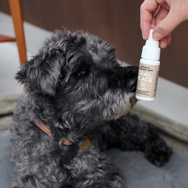 【廃盤】ORALPEACE｜Mouth Spray for PET