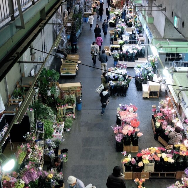 東京：大田花き市場