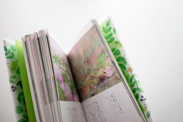 雷鳥社 草の辞典 野の花・道の草