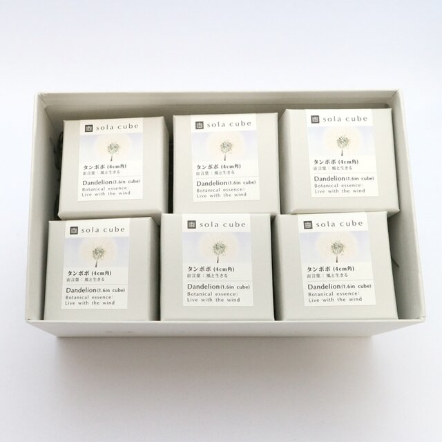 ■Sola cube 4cm角は6つまで