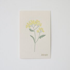 Hutte paper works｜活版印刷のポストカード【ネコポス対応】