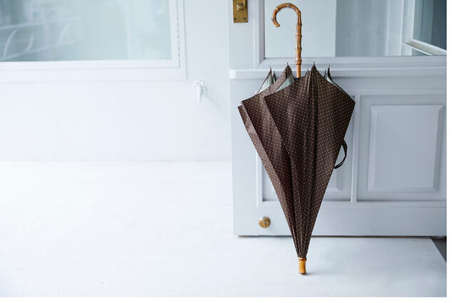 ブラウンドット